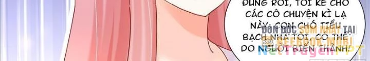Trọng Sinh Thành Chó Của Nữ Thần Chapter 379 - Trang 2