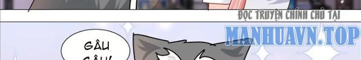 Trọng Sinh Thành Chó Của Nữ Thần Chapter 381 - Trang 2
