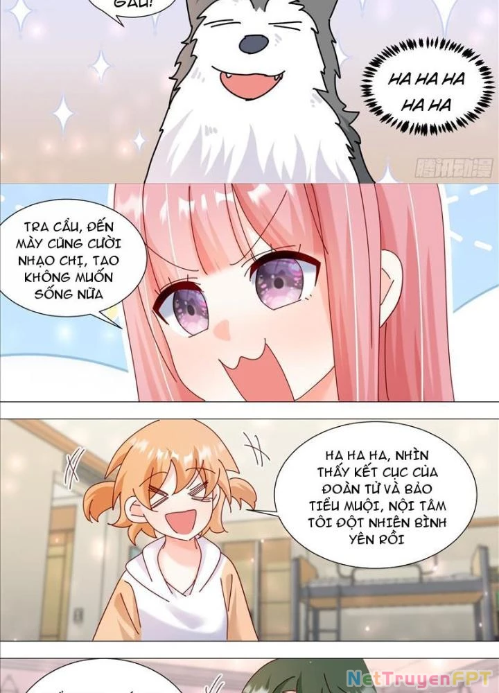 Trọng Sinh Thành Chó Của Nữ Thần Chapter 381 - Trang 2