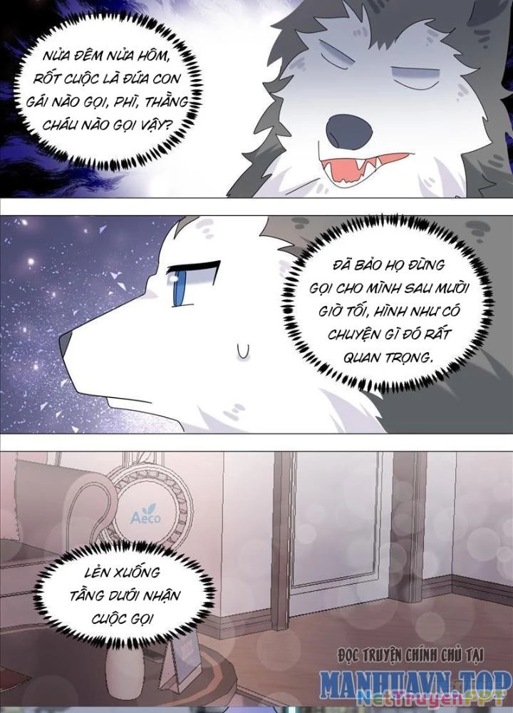 Trọng Sinh Thành Chó Của Nữ Thần Chapter 381 - Trang 2