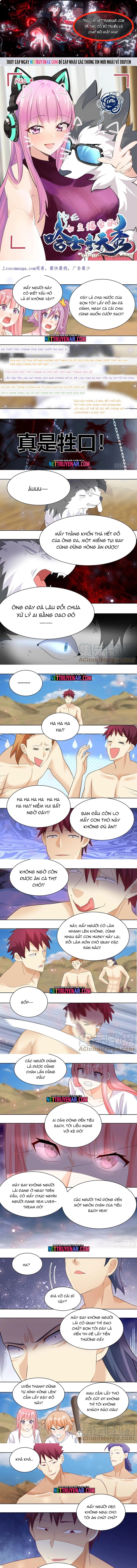 Trọng Sinh Thành Chó Của Nữ Thần Chapter 421 - Trang 2