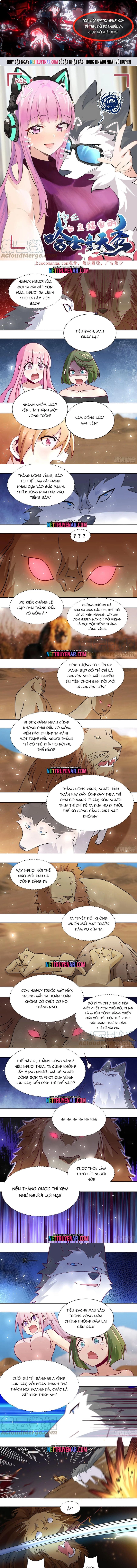 Trọng Sinh Thành Chó Của Nữ Thần Chapter 423 - Trang 2