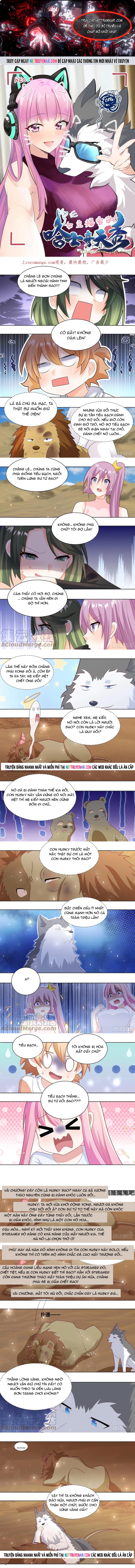 Trọng Sinh Thành Chó Của Nữ Thần Chapter 424 - Trang 2