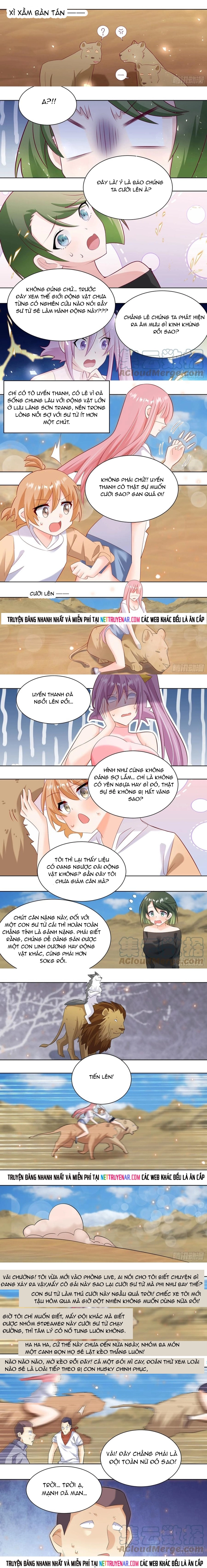 Trọng Sinh Thành Chó Của Nữ Thần Chapter 424 - Trang 2