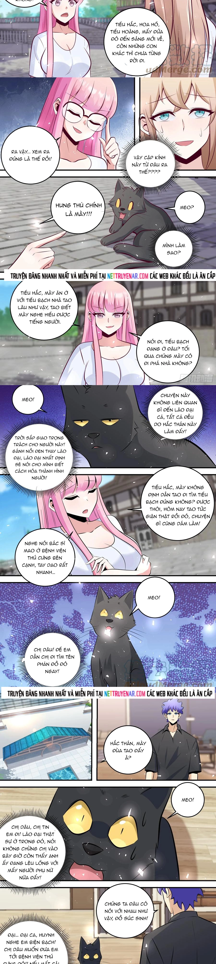 Trọng Sinh Thành Chó Của Nữ Thần Chapter 449 - Trang 2