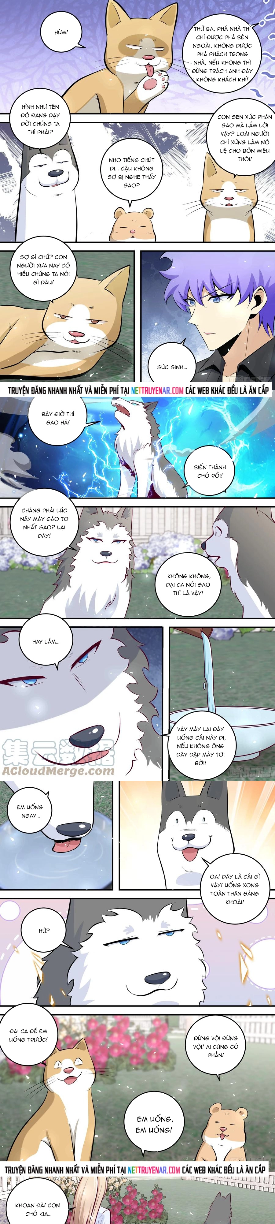 Trọng Sinh Thành Chó Của Nữ Thần Chapter 454 - Trang 2