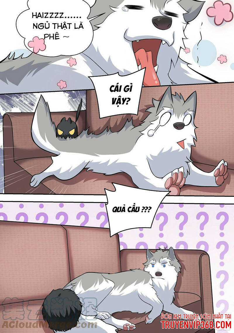 Trọng Sinh Thành Chó Của Nữ Thần Chapter 49 - Trang 2