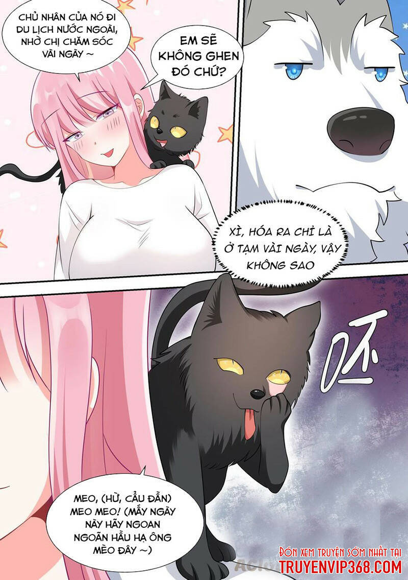 Trọng Sinh Thành Chó Của Nữ Thần Chapter 49 - Trang 2