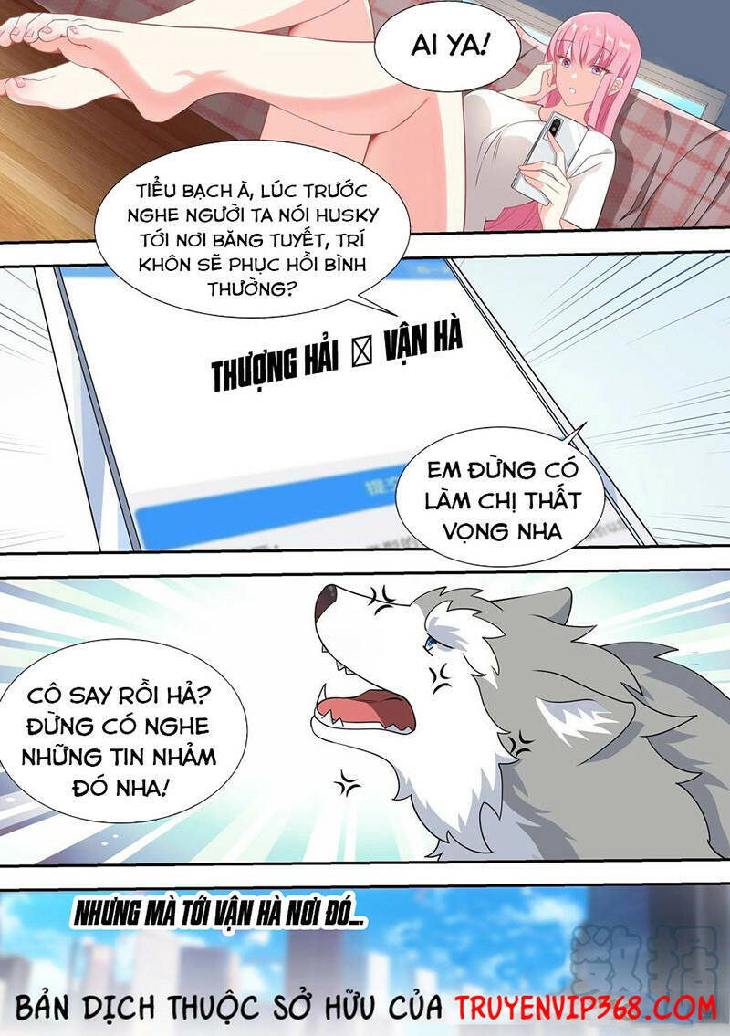 Trọng Sinh Thành Chó Của Nữ Thần Chapter 52 - Trang 2