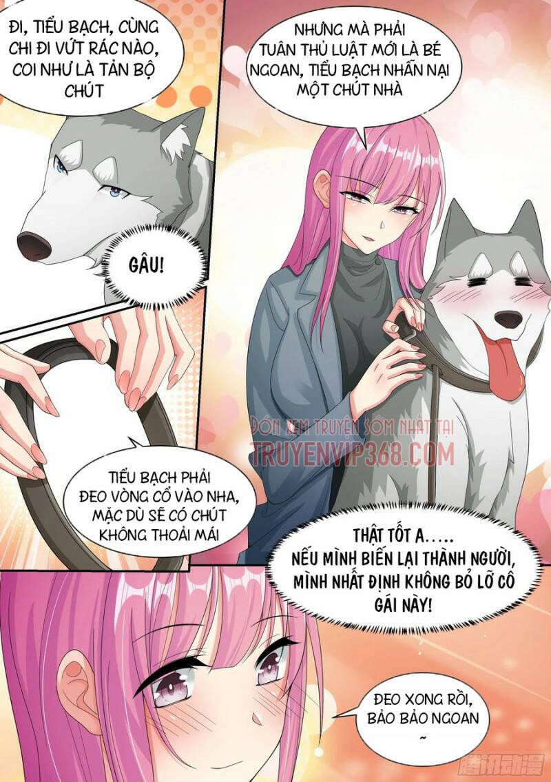 Trọng Sinh Thành Chó Của Nữ Thần Chapter 7 - Trang 2