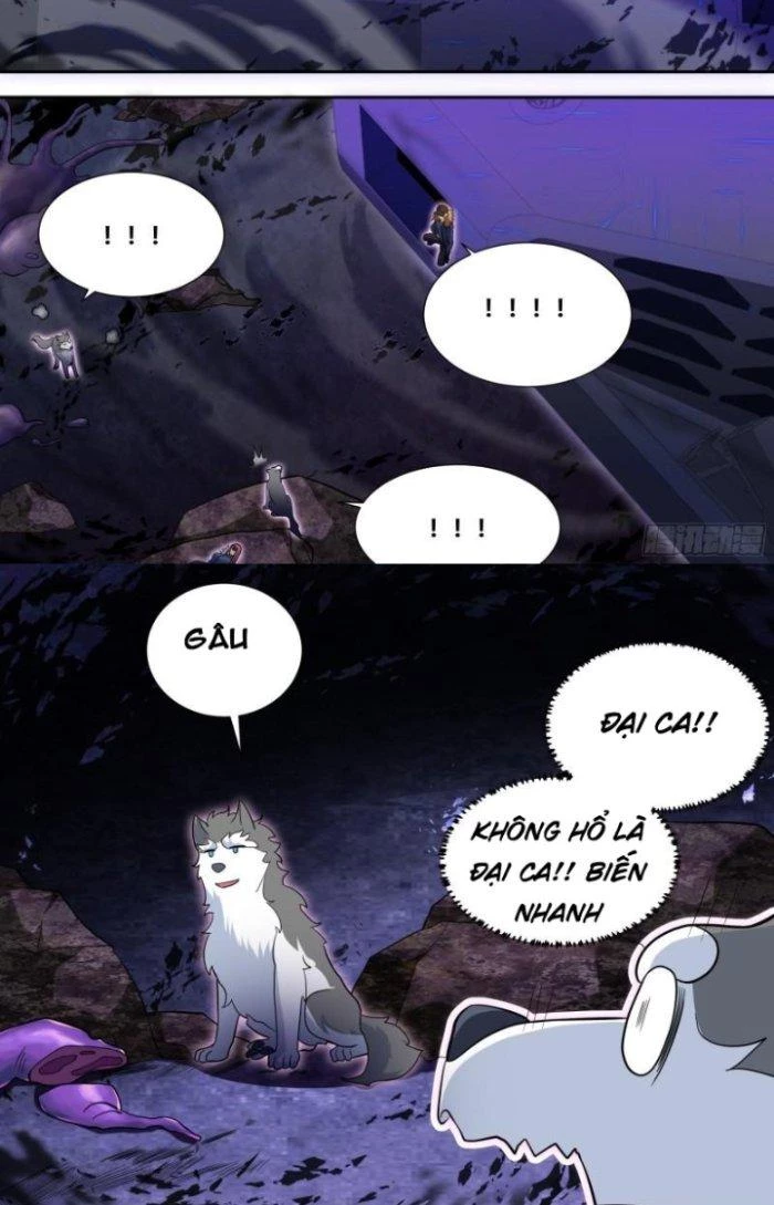 Trọng Sinh Thành Chó Của Nữ Thần Chapter 78 - Trang 2