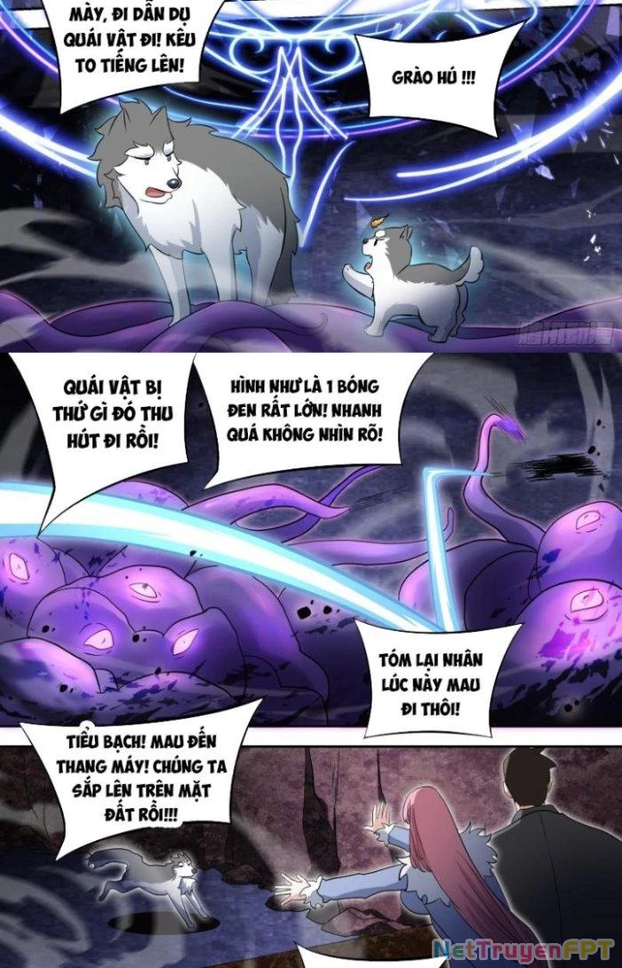 Trọng Sinh Thành Chó Của Nữ Thần Chapter 79 - Trang 2