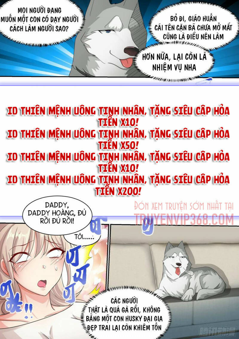 Trọng Sinh Thành Chó Của Nữ Thần Chapter 8 - Trang 2