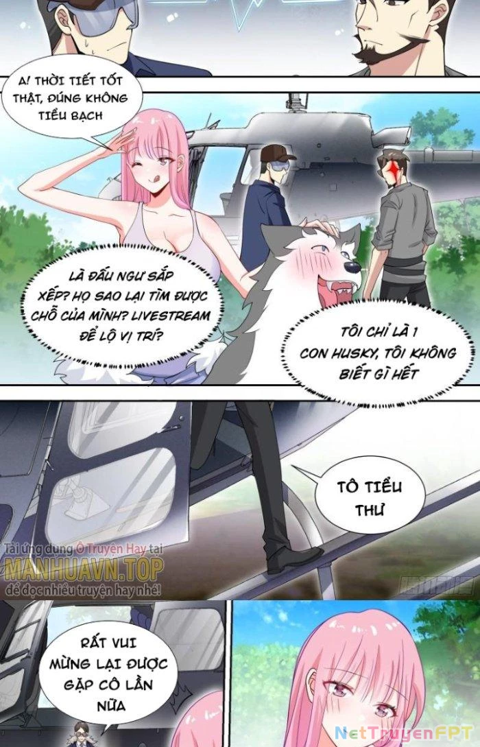 Trọng Sinh Thành Chó Của Nữ Thần Chapter 81 - Trang 2