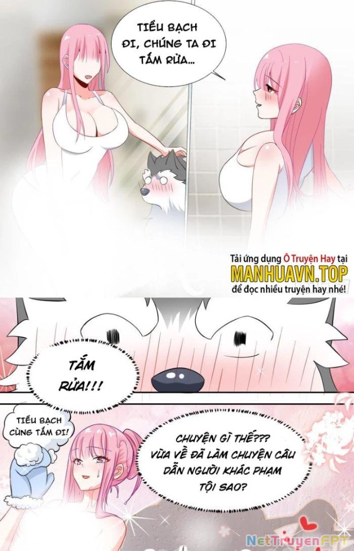 Trọng Sinh Thành Chó Của Nữ Thần Chapter 81 - Trang 2