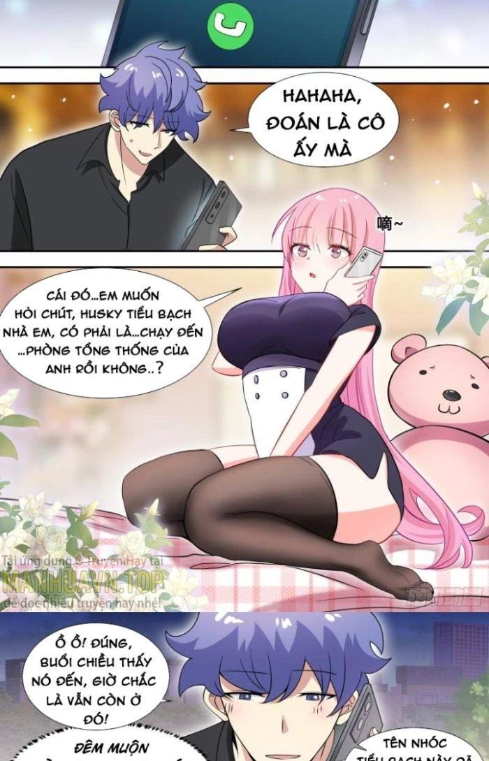 Trọng Sinh Thành Chó Của Nữ Thần Chapter 85 - Trang 2