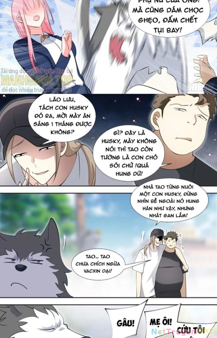 Trọng Sinh Thành Chó Của Nữ Thần Chapter 87 - Trang 2