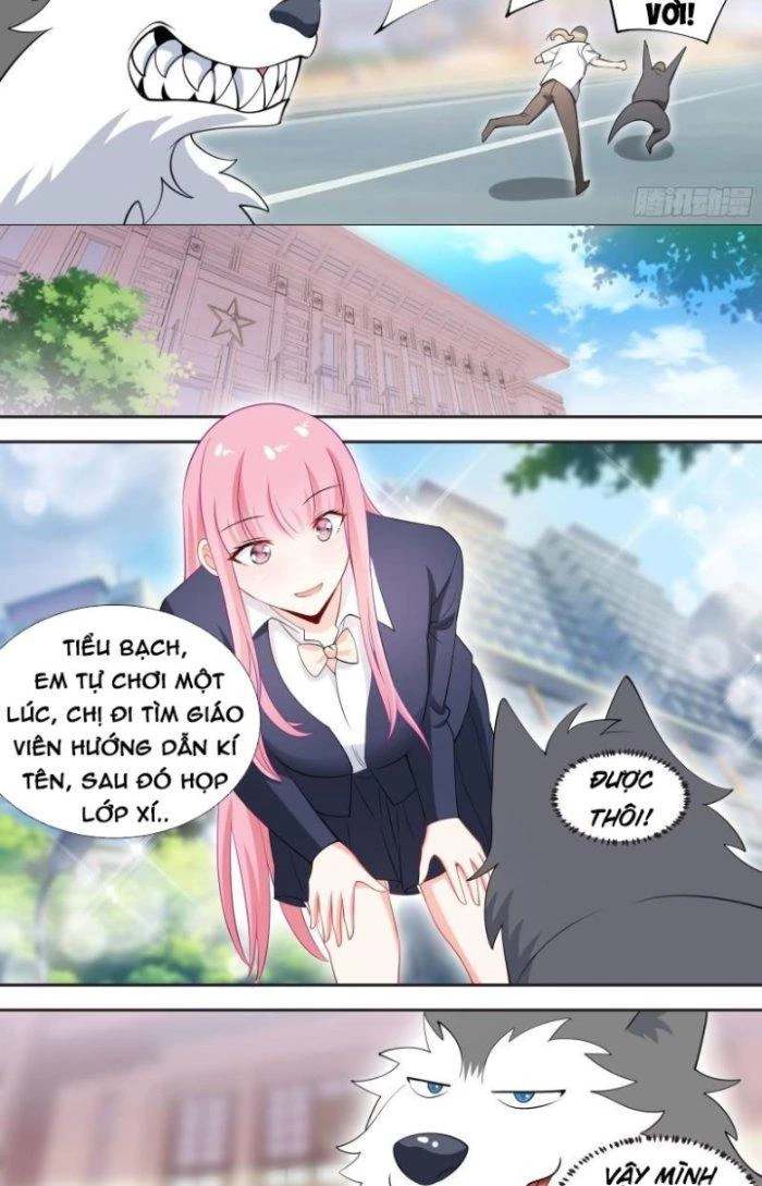 Trọng Sinh Thành Chó Của Nữ Thần Chapter 87 - Trang 2
