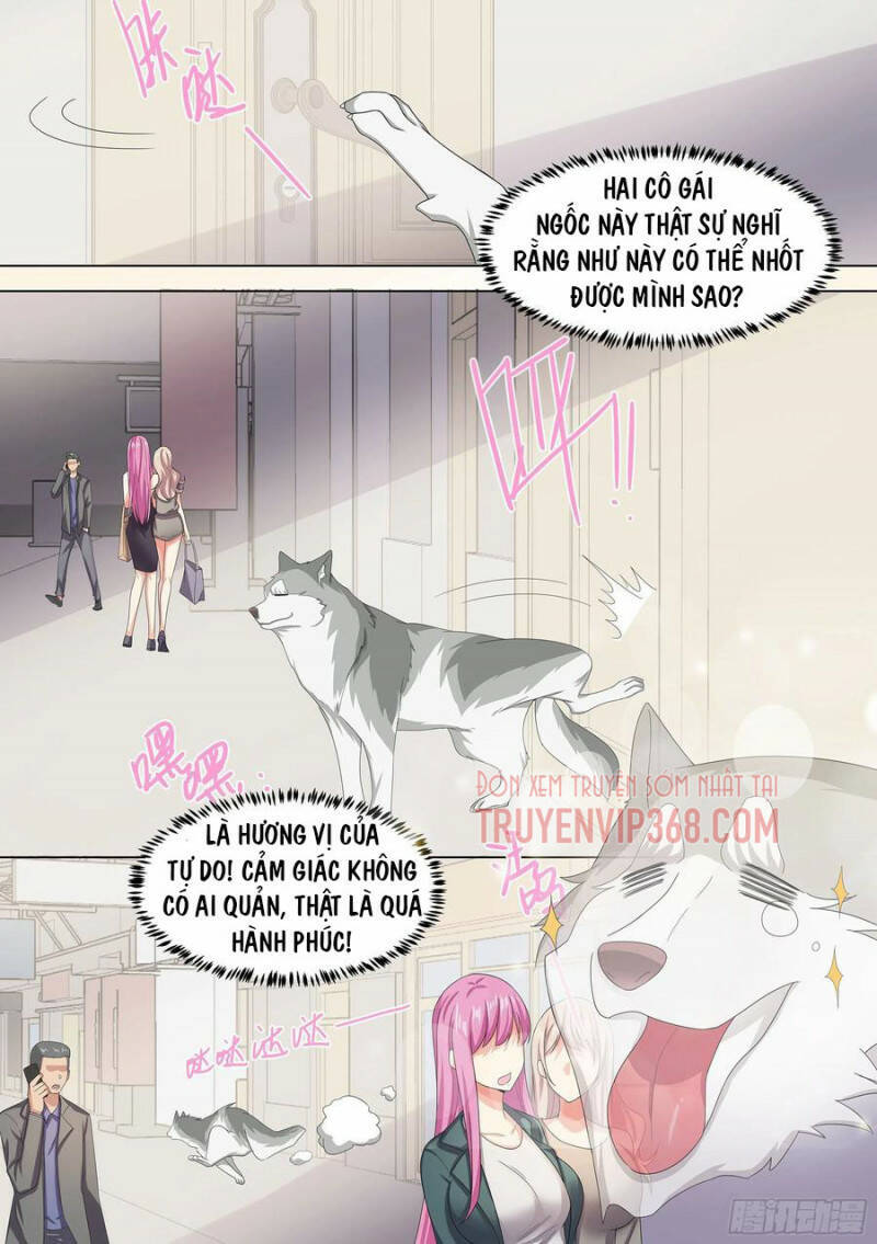 Trọng Sinh Thành Chó Của Nữ Thần Chapter 9 - Trang 2