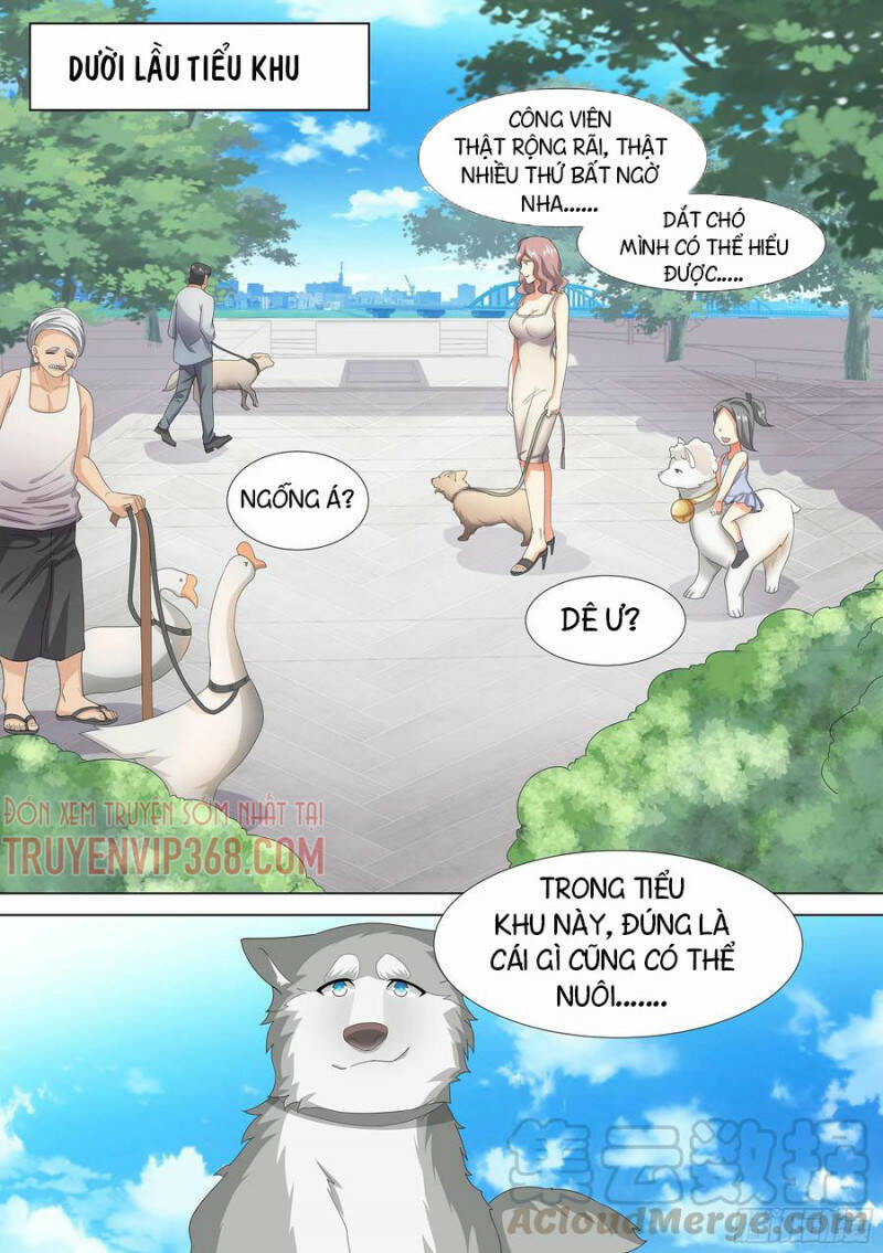 Trọng Sinh Thành Chó Của Nữ Thần Chapter 9 - Trang 2