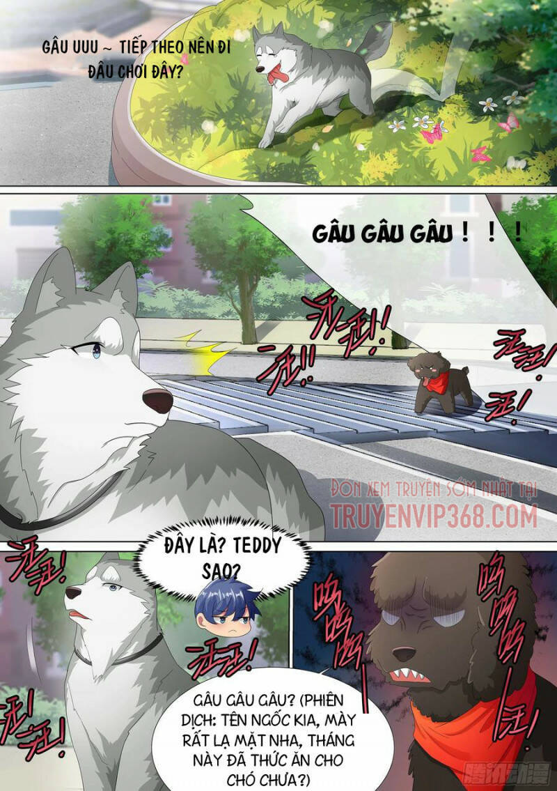 Trọng Sinh Thành Chó Của Nữ Thần Chapter 9 - Trang 2