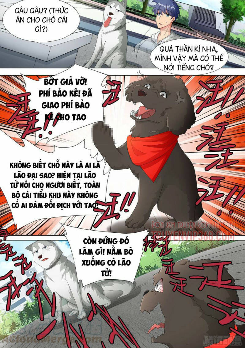 Trọng Sinh Thành Chó Của Nữ Thần Chapter 9 - Trang 2