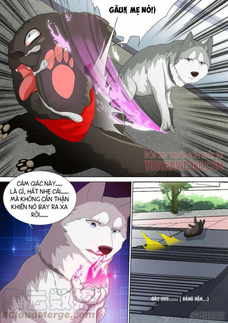 Trọng Sinh Thành Chó Của Nữ Thần Chapter 9 - Trang 2