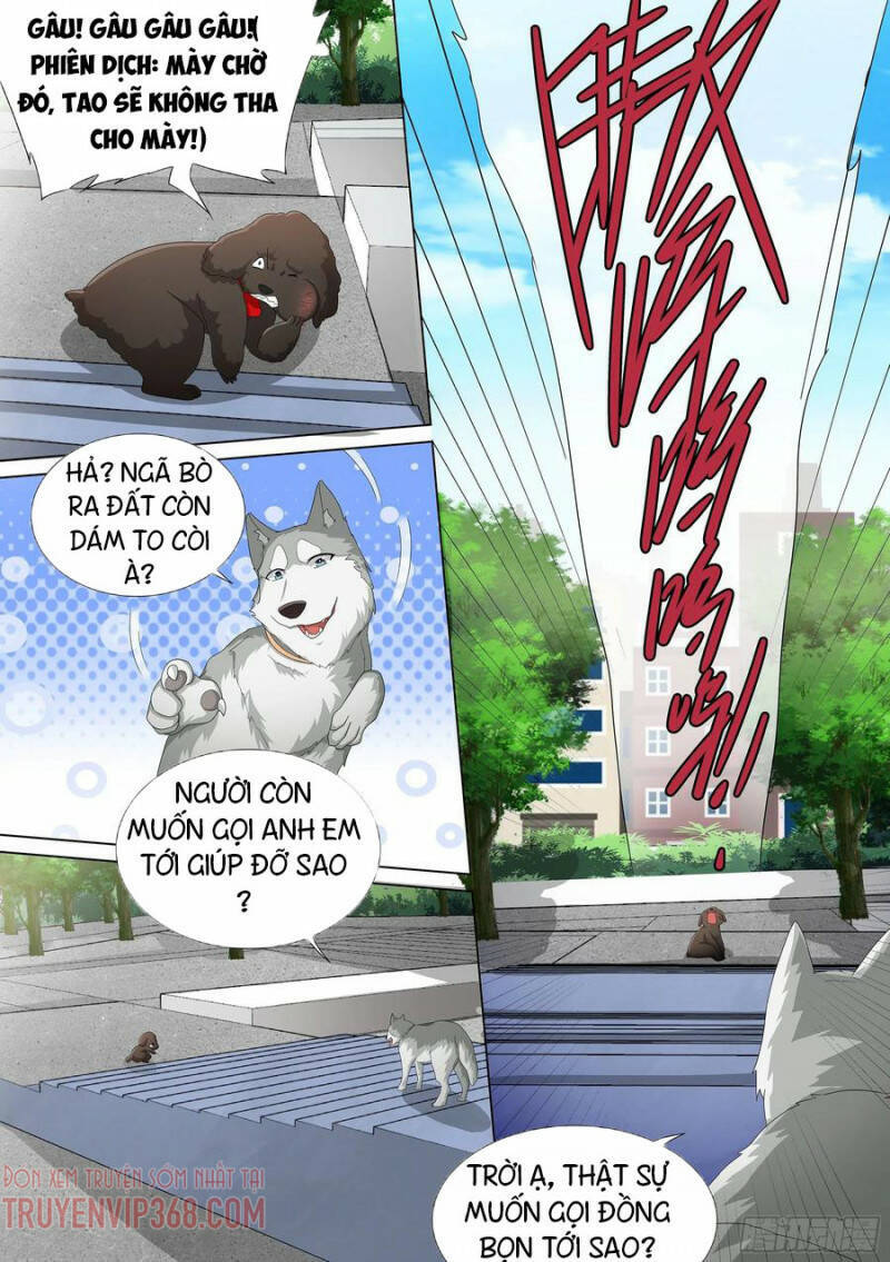 Trọng Sinh Thành Chó Của Nữ Thần Chapter 9 - Trang 2