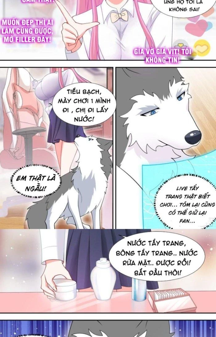 Trọng Sinh Thành Chó Của Nữ Thần Chapter 90 - Trang 2