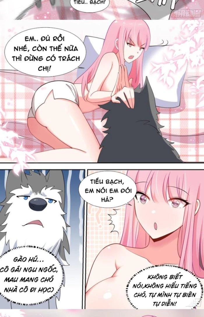 Trọng Sinh Thành Chó Của Nữ Thần Chapter 90 - Trang 2
