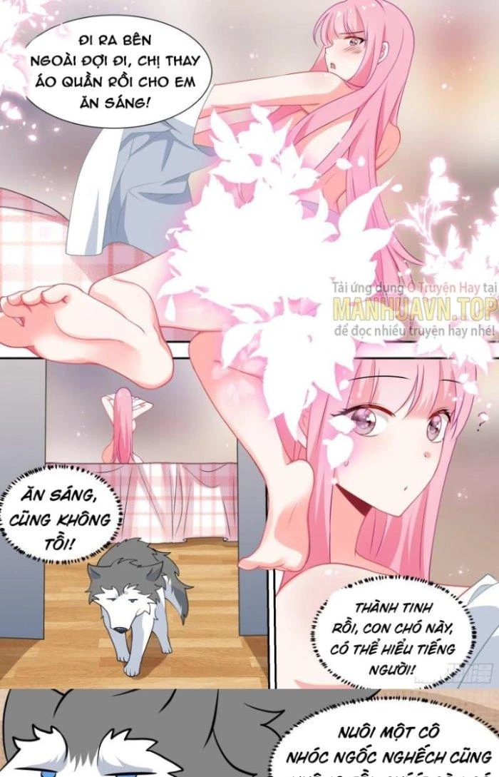 Trọng Sinh Thành Chó Của Nữ Thần Chapter 90 - Trang 2
