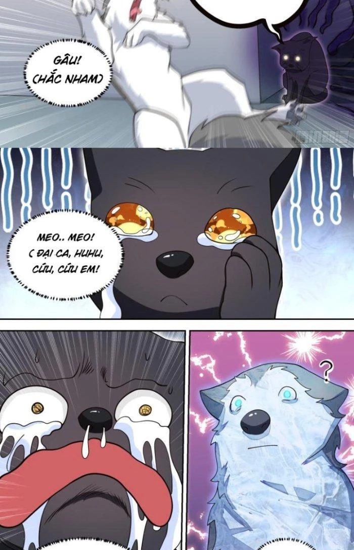 Trọng Sinh Thành Chó Của Nữ Thần Chapter 95 - Trang 2