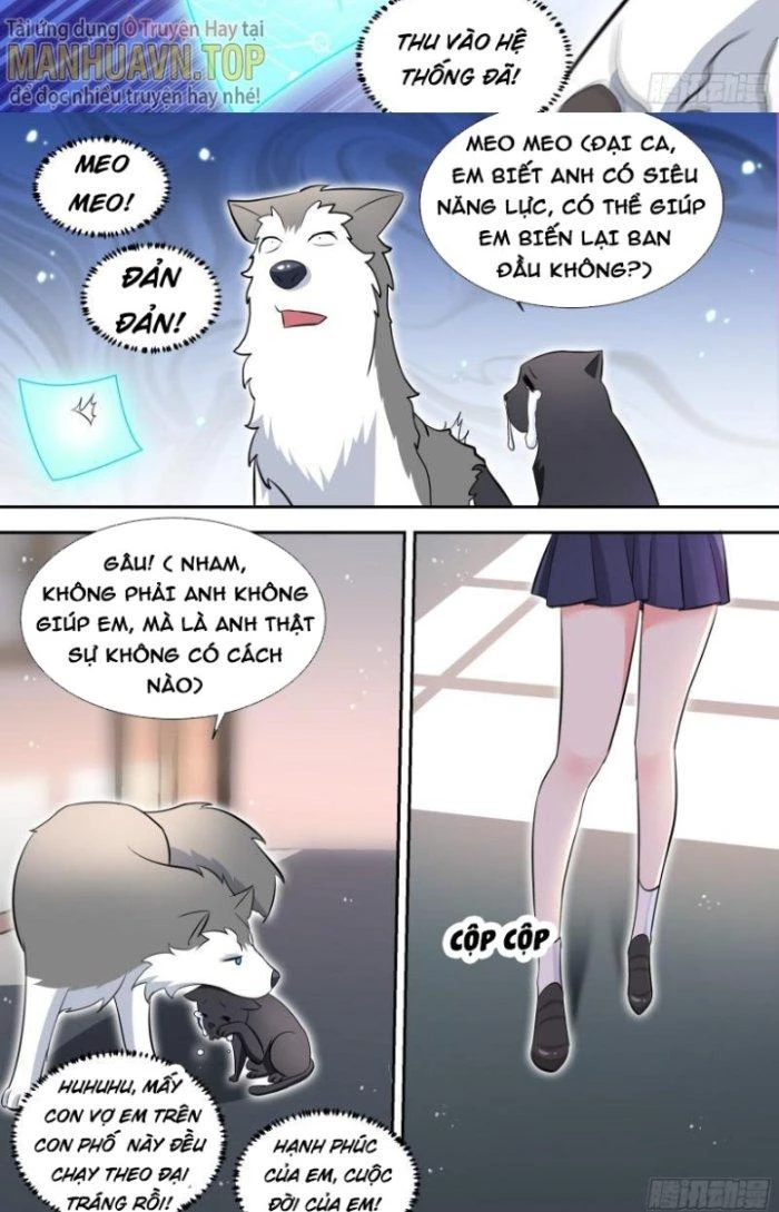 Trọng Sinh Thành Chó Của Nữ Thần Chapter 95 - Trang 2