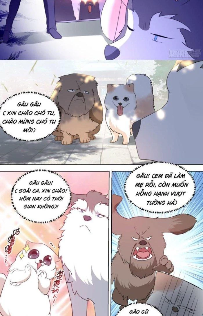 Trọng Sinh Thành Chó Của Nữ Thần Chapter 99 - Trang 2