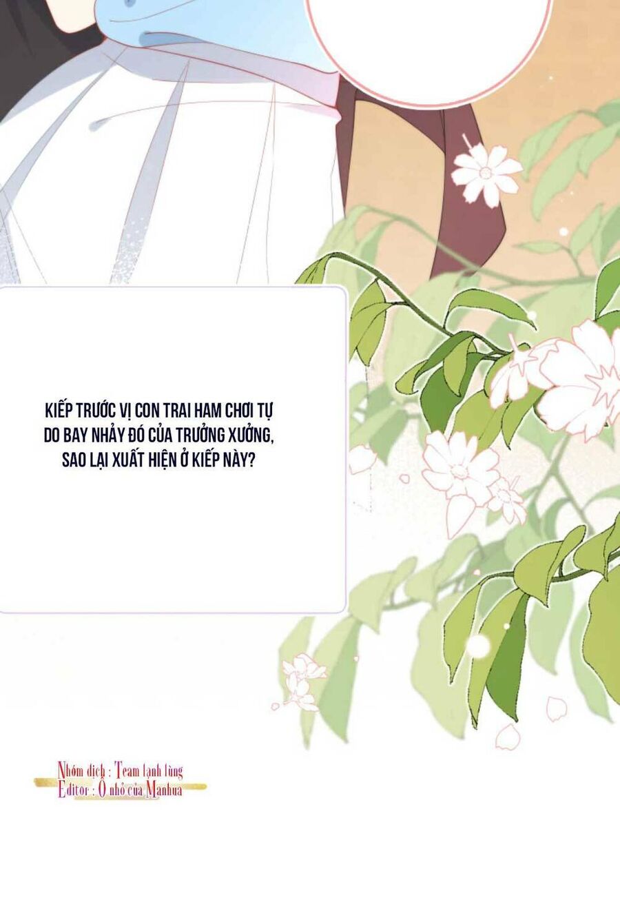 Trọng Sinh Trở Lại Làm Vợ Tổng Tài Chapter 1 - Trang 2