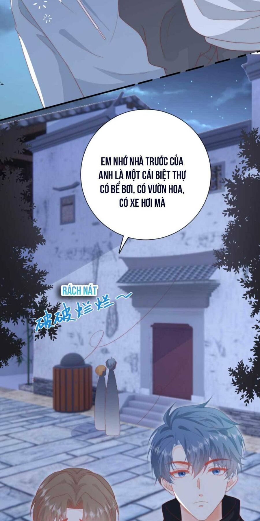 Trọng Sinh Trở Lại Làm Vợ Tổng Tài Chapter 11 - Trang 2