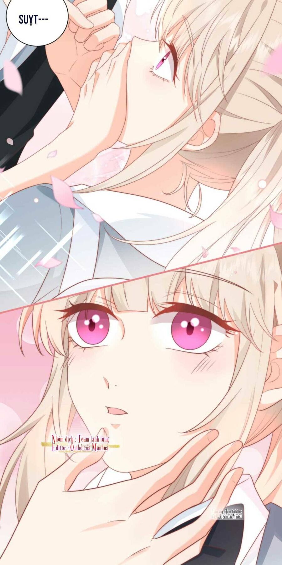 Trọng Sinh Trở Lại Làm Vợ Tổng Tài Chapter 12 - Trang 2