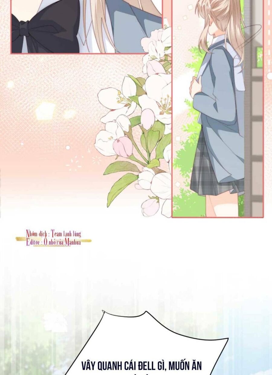 Trọng Sinh Trở Lại Làm Vợ Tổng Tài Chapter 17 - Trang 2