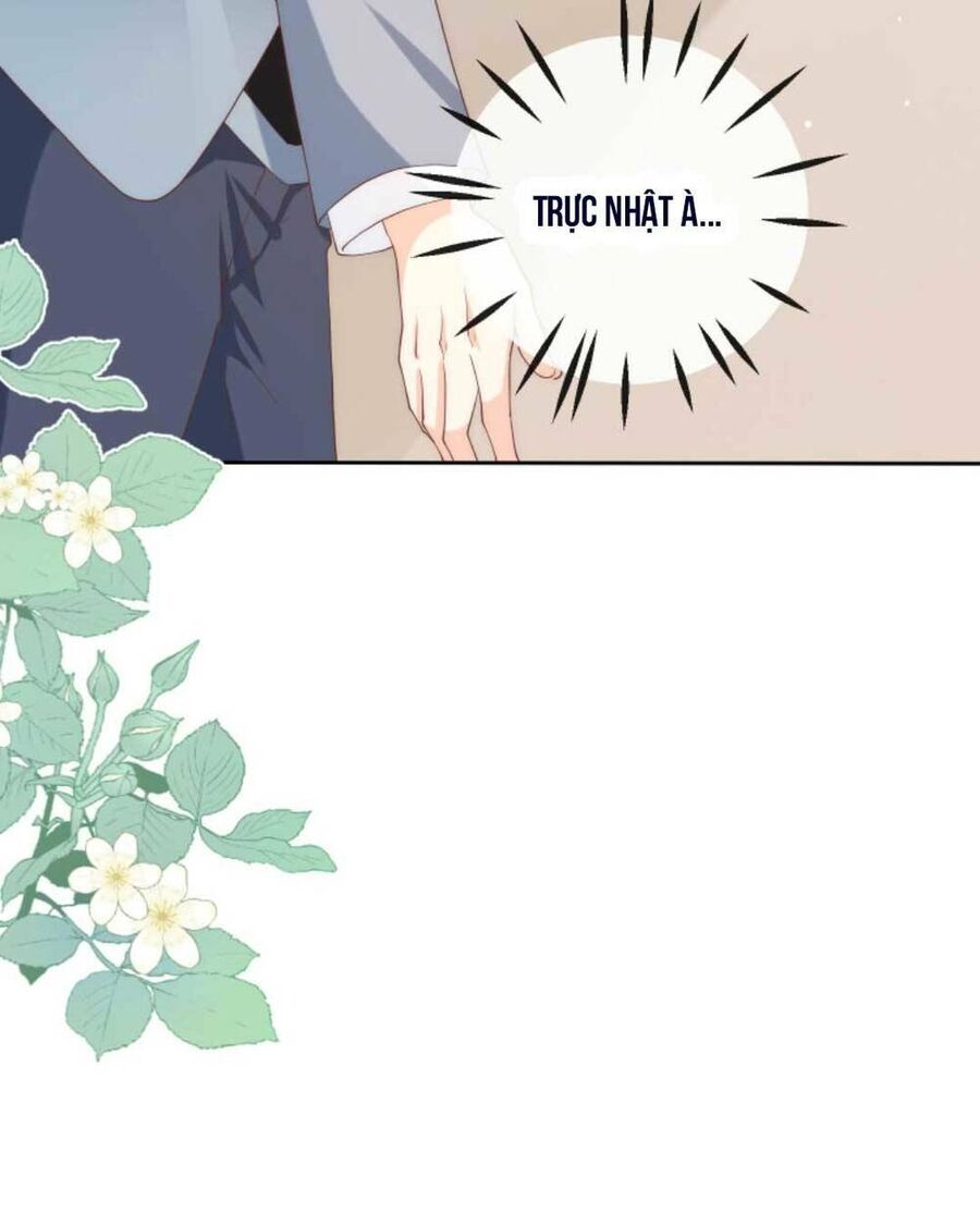 Trọng Sinh Trở Lại Làm Vợ Tổng Tài Chapter 18 - Trang 2