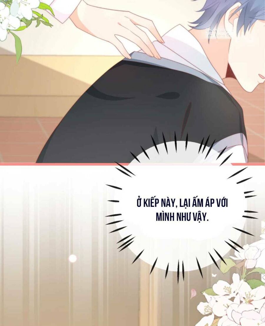 Trọng Sinh Trở Lại Làm Vợ Tổng Tài Chapter 21 - Trang 2