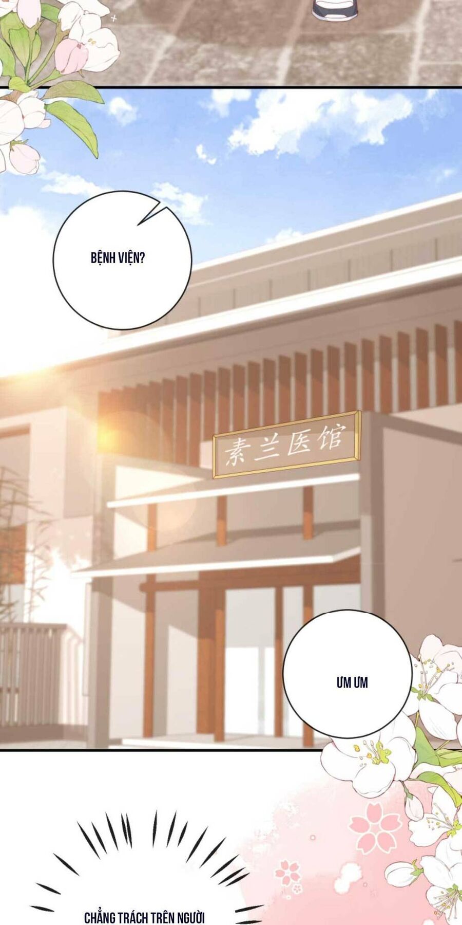 Trọng Sinh Trở Lại Làm Vợ Tổng Tài Chapter 23 - Trang 2