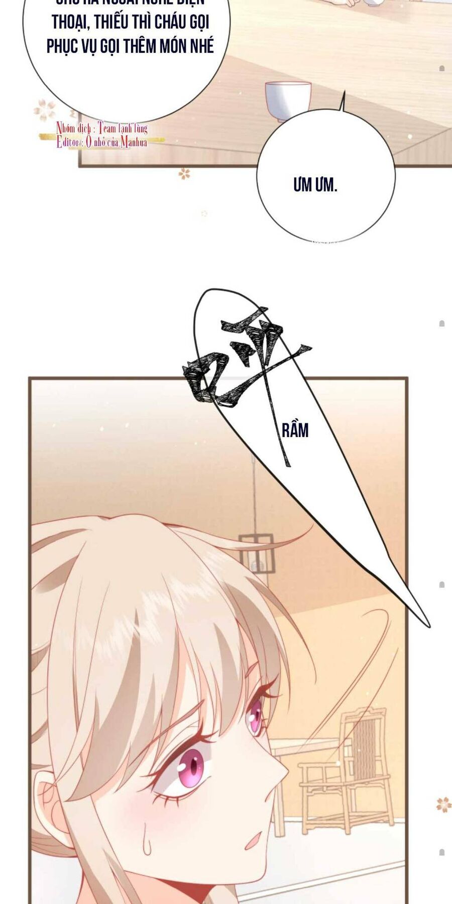 Trọng Sinh Trở Lại Làm Vợ Tổng Tài Chapter 3 - Trang 2