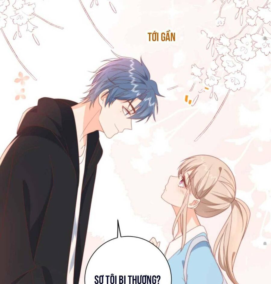 Trọng Sinh Trở Lại Làm Vợ Tổng Tài Chapter 4 - Trang 2