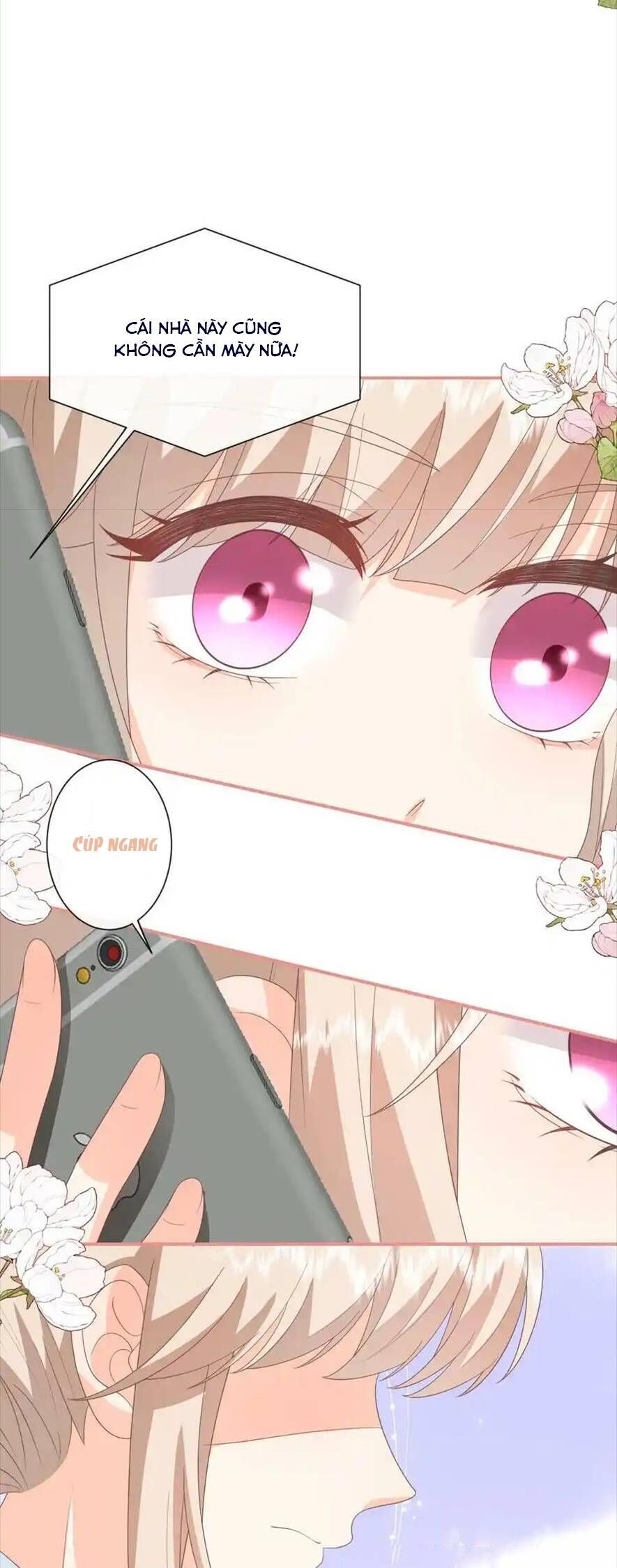 Trọng Sinh Trở Lại Làm Vợ Tổng Tài Chapter 75 - Trang 2