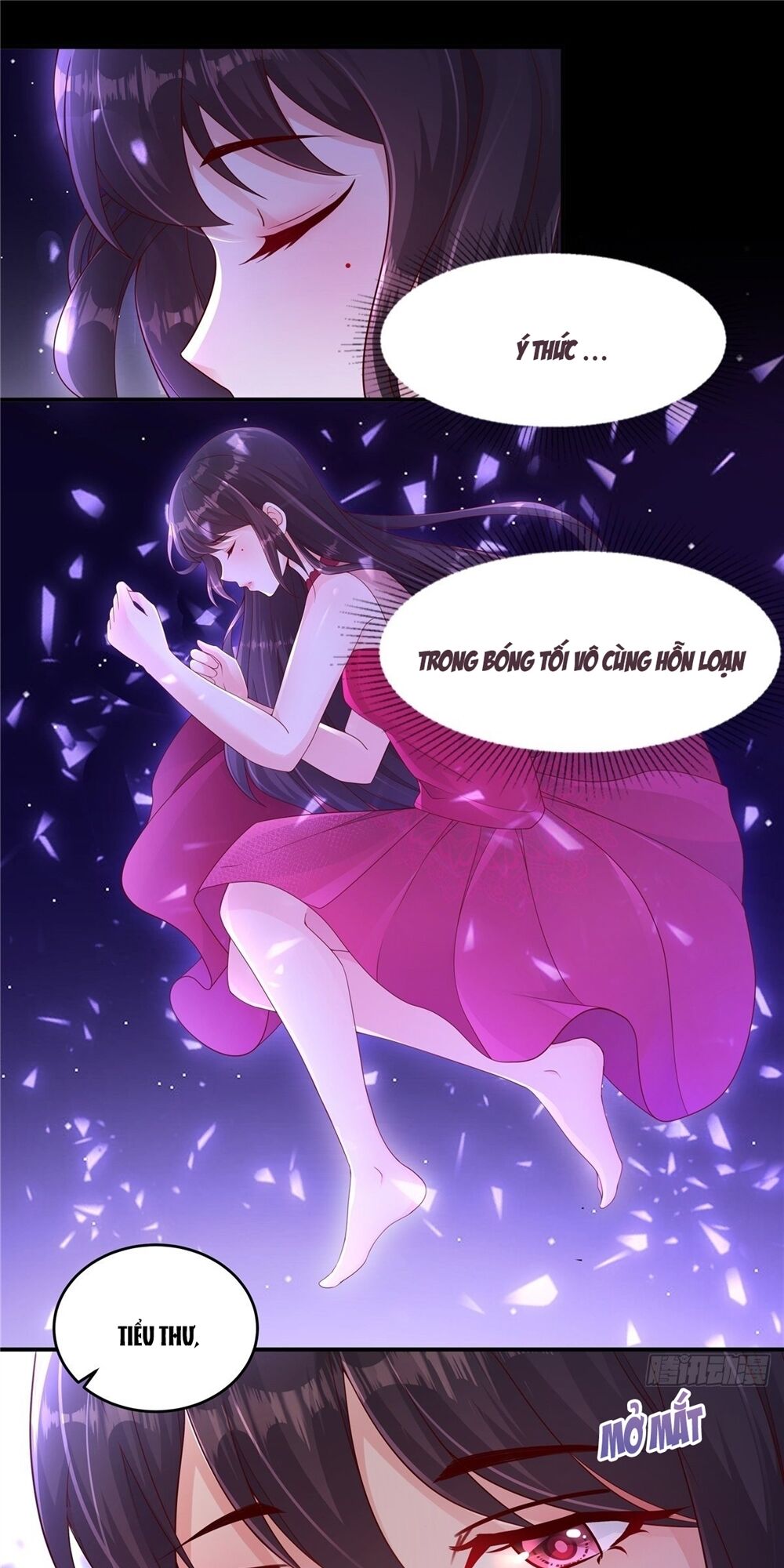 Trọng Sinh Trở Lại: Sủng Nịch Độc Nhất Vô Nhị Chapter 1 - Trang 2