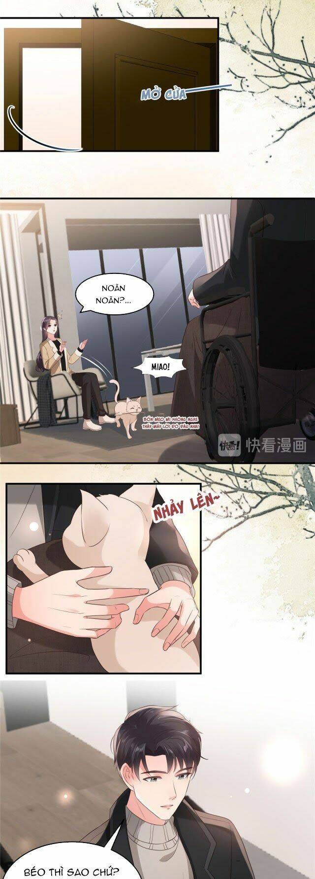 Trọng Sinh Trở Lại: Sủng Nịch Độc Nhất Vô Nhị Chapter 100 - Trang 2