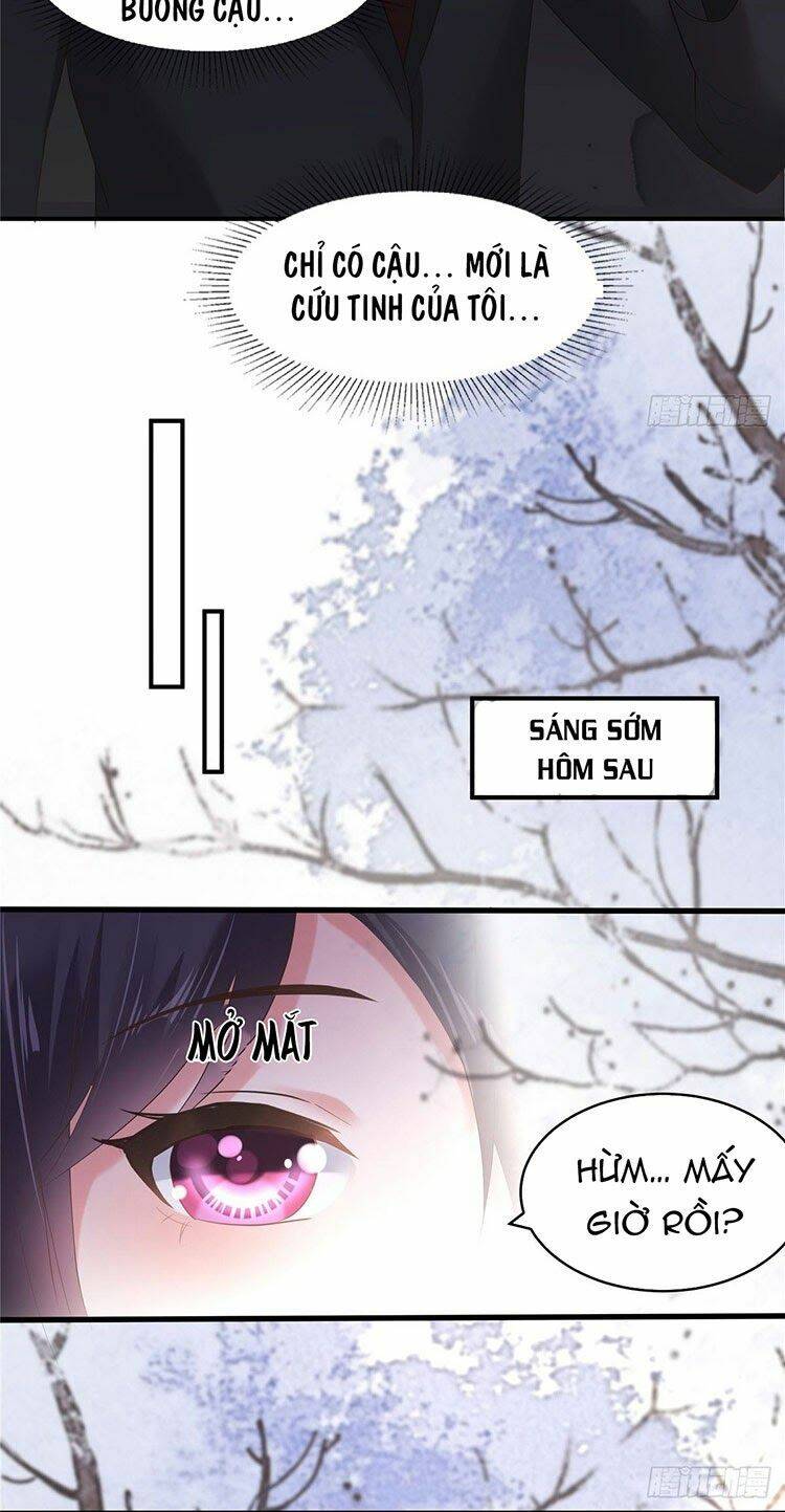 Trọng Sinh Trở Lại: Sủng Nịch Độc Nhất Vô Nhị Chapter 102 - Trang 2