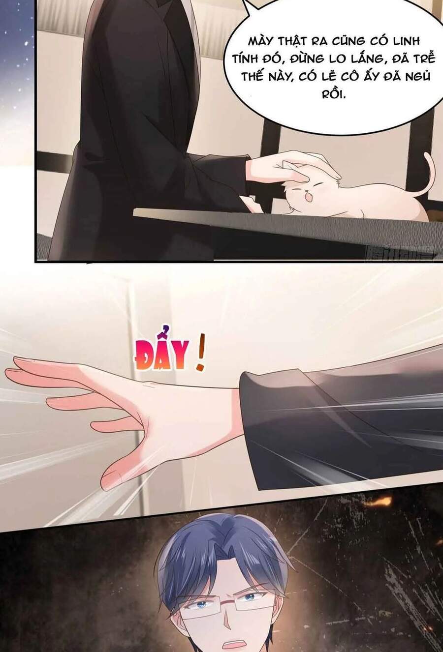 Trọng Sinh Trở Lại: Sủng Nịch Độc Nhất Vô Nhị Chapter 113 - Trang 2