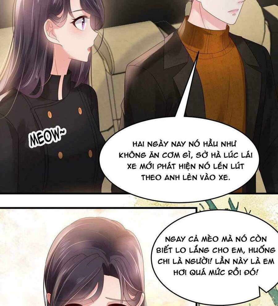 Trọng Sinh Trở Lại: Sủng Nịch Độc Nhất Vô Nhị Chapter 116 - Trang 2