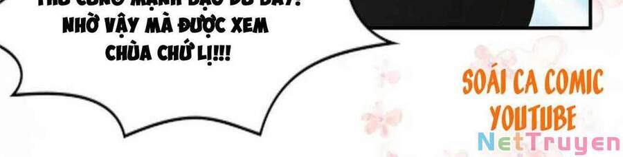 Trọng Sinh Trở Lại: Sủng Nịch Độc Nhất Vô Nhị Chapter 135 - Trang 2